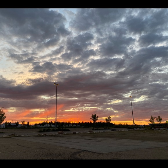 Meet your Posher, Patricia - Picture 1 of 1